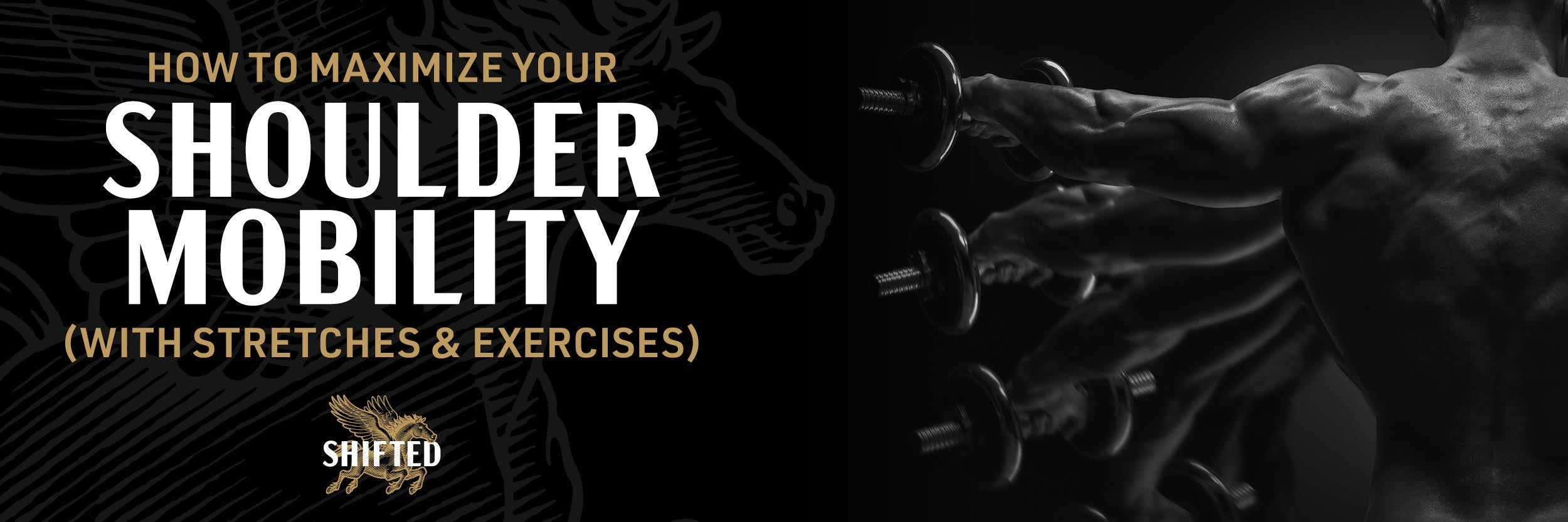How to Maximize Your Shoulder Mobility (with stretches & exercises