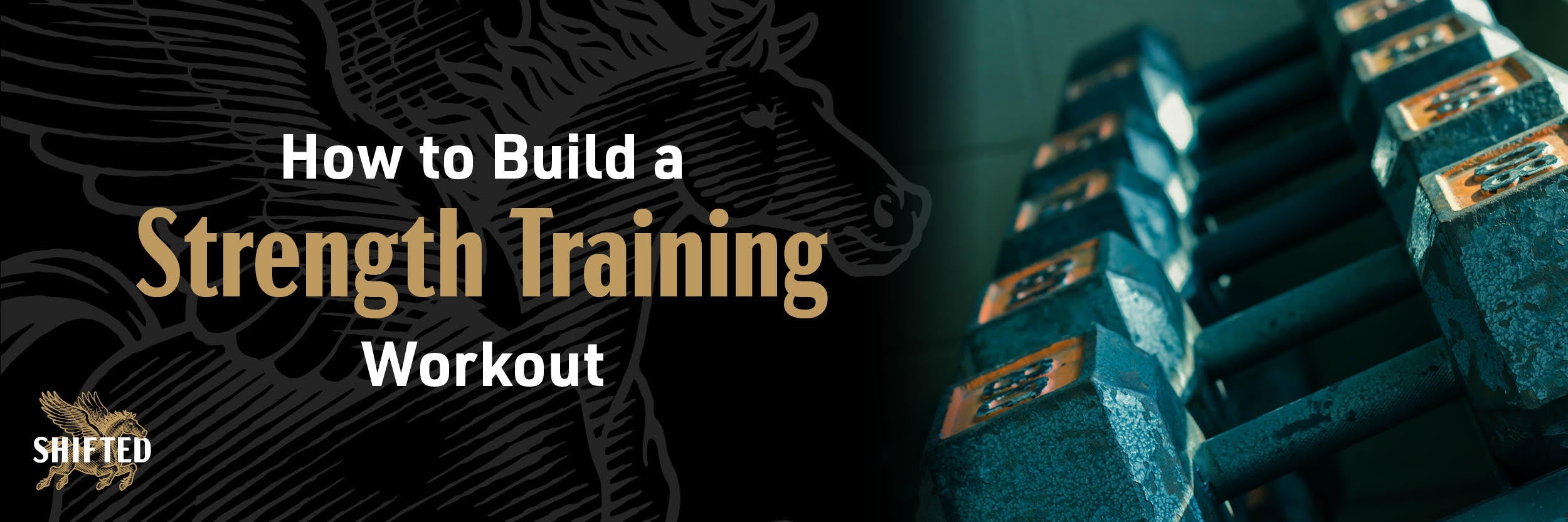How to Build a Strength Training Workout (With Examples) – Shifted